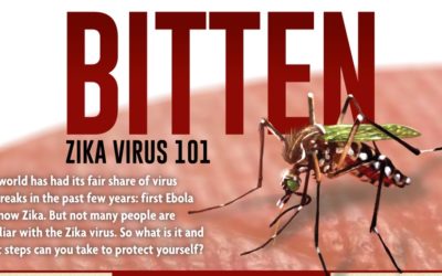 Zika Virus 101 Infographic