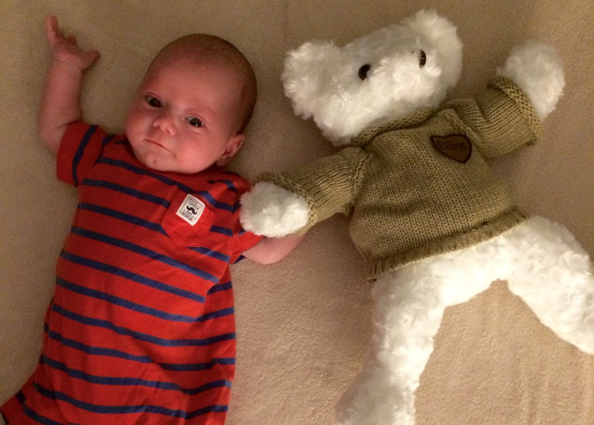 Emmet w_Elliott Urn bear