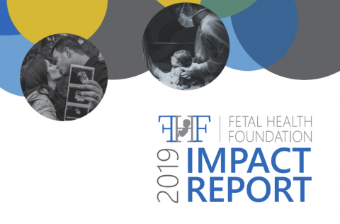 Fetal Health Evaluating the Systemic Impact Integrating The Clinical Intersection: Third Trimester Vulnerability