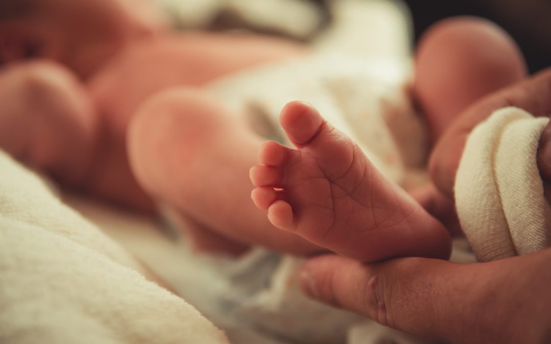 photo of a newborn baby with the bottoms of the baby's feet visible. And adult hand is cradling them gently.