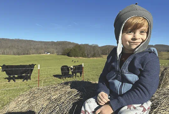 campbell Mom, dad and toddler and smiling happily