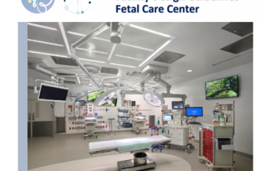 White Paper – Recommendations for Facility Design Guidelines – Fetal Care Center