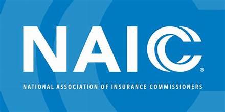 NAIC logo